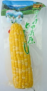 信州開田高原とうもろこし